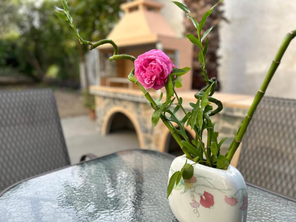 依克希亚Lina'S Amazing House In Ialysos别墅 外观 照片